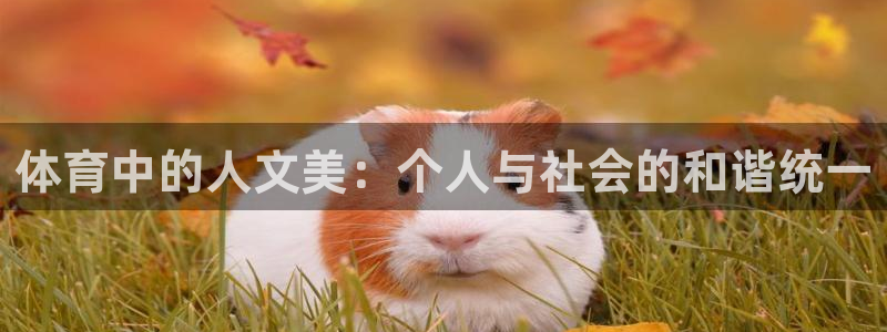 鲸鱼体育app电视版：体育中的人文美：个